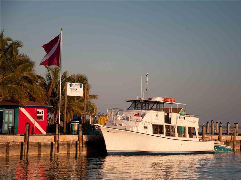 Bimini Big Game Club Resort & Marina Alice Town  Amenities photo