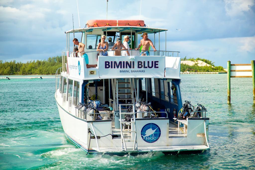 Bimini Big Game Club Resort & Marina Alice Town  Exterior photo